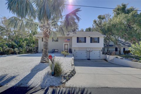 A home in PALM HARBOR