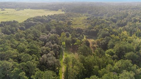 Tiny photo for 22157 NW 87th Avenue Road, Micanopy, FL 32667 (MLS # OM706509)