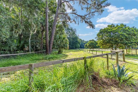 Tiny photo for 22157 NW 87th Avenue Road, Micanopy, FL 32667 (MLS # OM706509)