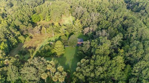 Tiny photo for 22157 NW 87th Avenue Road, Micanopy, FL 32667 (MLS # OM706509)