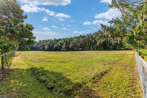 Tiny photo for 22157 NW 87th Avenue Road, Micanopy, FL 32667 (MLS # OM706509)
