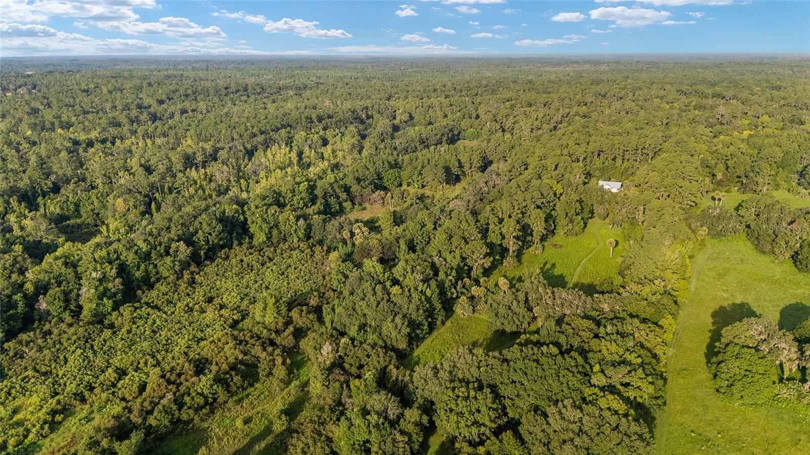 SIMONTON FARMS - Residential