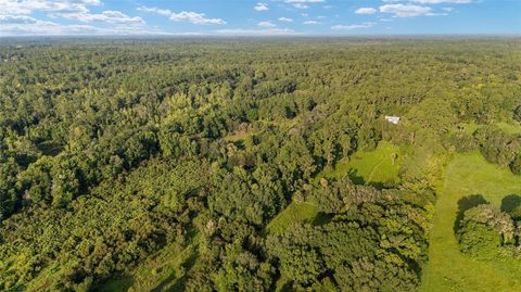 Tiny photo for 22157 NW 87th Avenue Road, Micanopy, FL 32667 (MLS # OM706509)