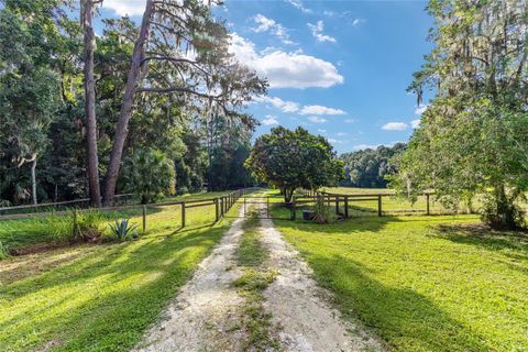 Tiny photo for 22157 NW 87th Avenue Road, Micanopy, FL 32667 (MLS # OM706509)