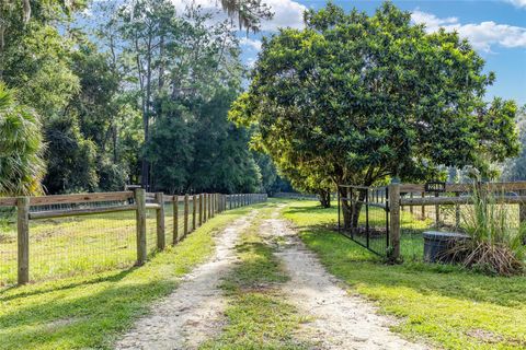 Tiny photo for 22157 NW 87th Avenue Road, Micanopy, FL 32667 (MLS # OM706509)