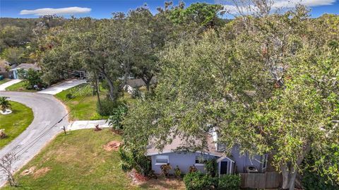 A home in CLEARWATER