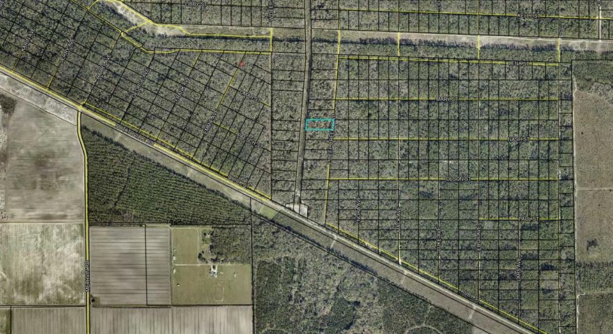 This is an assignment of contract...Escape to the quiet beauty of Old Florida with this wooded vacant lot on E Deep Creek Blvd in the growing Flagler Estates community of Hastings, FL. Tucked among mature trees and natural surroundings, this property offers the perfect blend of privacy, space, and future potential. Whether you're looking to build your dream home, place a manufactured home, create a peaceful weekend retreat, or secure land as a long-term investment, this property provides endless possibilities.

Enjoy the serenity of rural living while remaining conveniently close to St. Augustine, Palm Coast, beaches, shopping, dining, schools, and outdoor recreation. The area continues to see growth and development, making this an excellent opportunity to own a slice of Northeast Florida before values continue to rise. With plenty of room to bring your vision to life and nature all around you, this property is ideal for those seeking freedom, tranquility, and investment potential all in one.