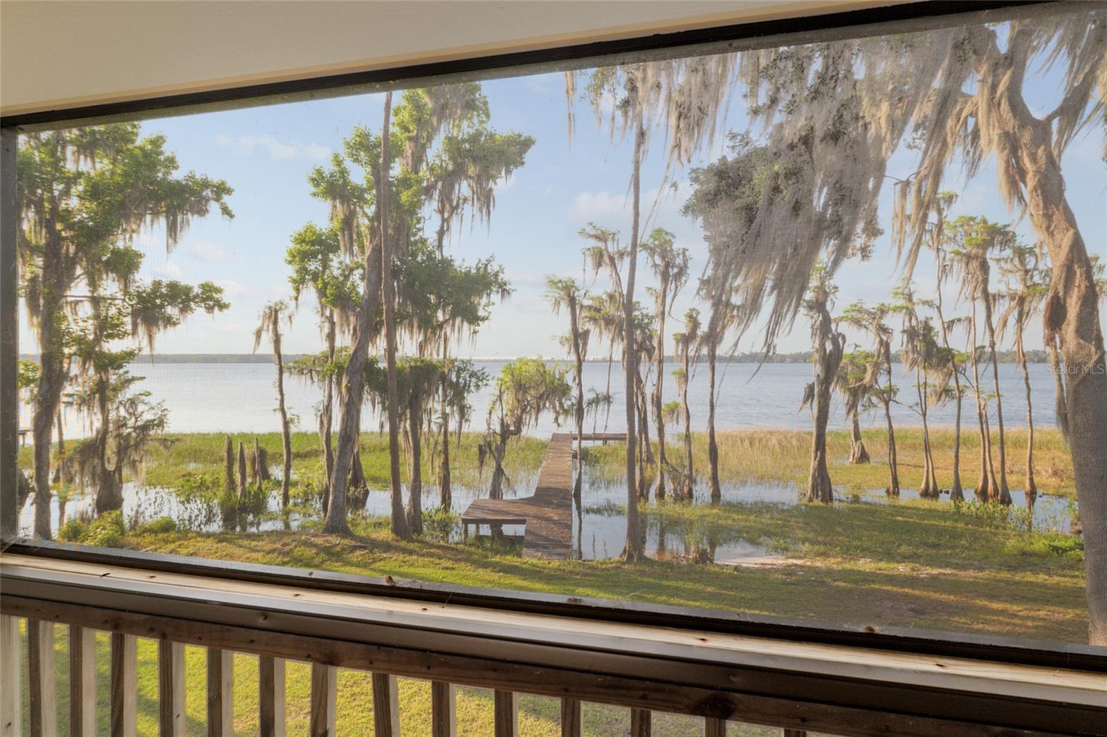 PUMPKIN PATCH - Residential