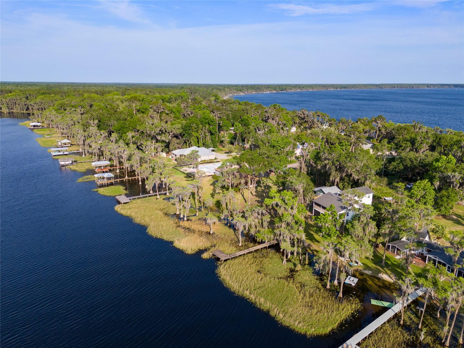 PUMPKIN PATCH - Residential