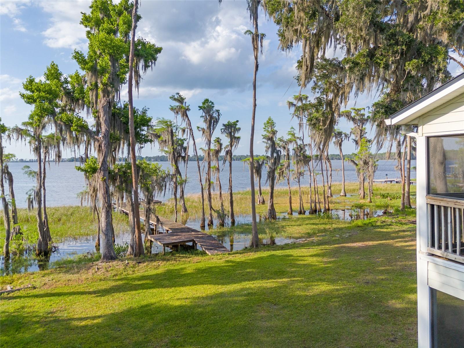 PUMPKIN PATCH - Residential