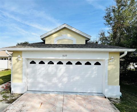 A home in MOUNT DORA