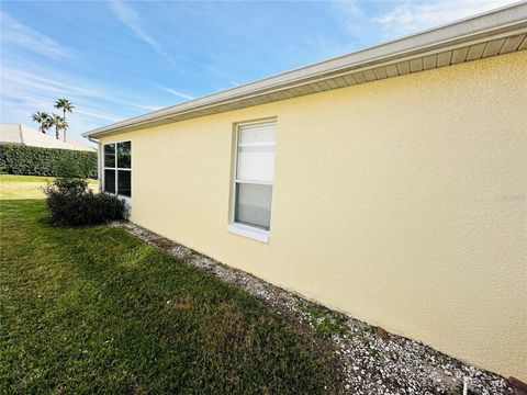 A home in MOUNT DORA