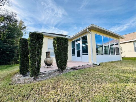 A home in MOUNT DORA