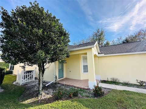 A home in MOUNT DORA