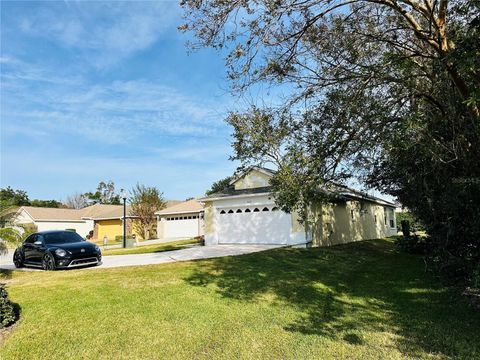 A home in MOUNT DORA