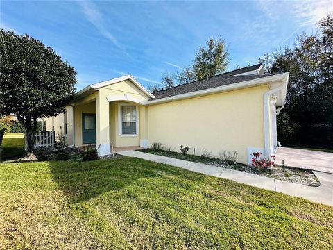 A home in MOUNT DORA