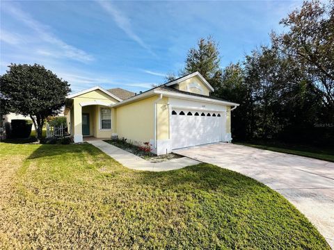 A home in MOUNT DORA