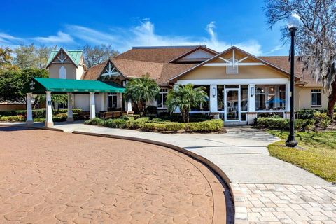 A home in MOUNT DORA