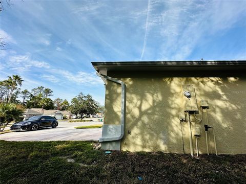 A home in MOUNT DORA