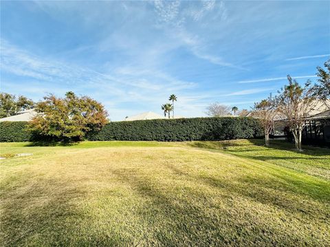 A home in MOUNT DORA