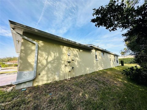 A home in MOUNT DORA