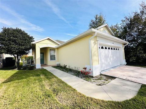 A home in MOUNT DORA