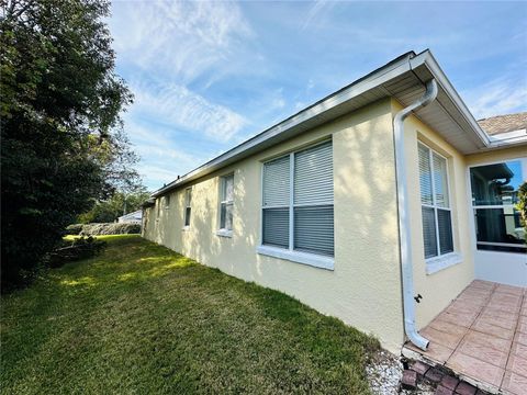 A home in MOUNT DORA