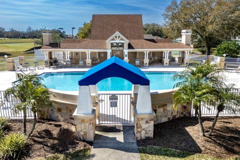 A home in MOUNT DORA