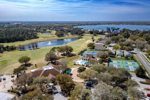 A home in MOUNT DORA