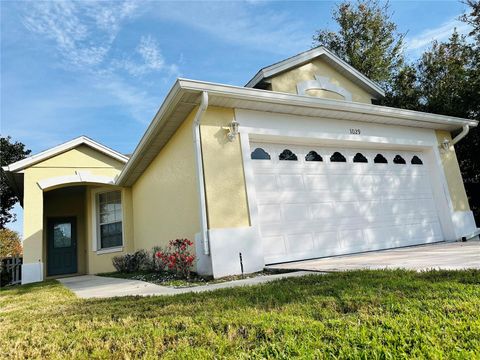 A home in MOUNT DORA