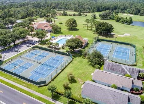 A home in MOUNT DORA