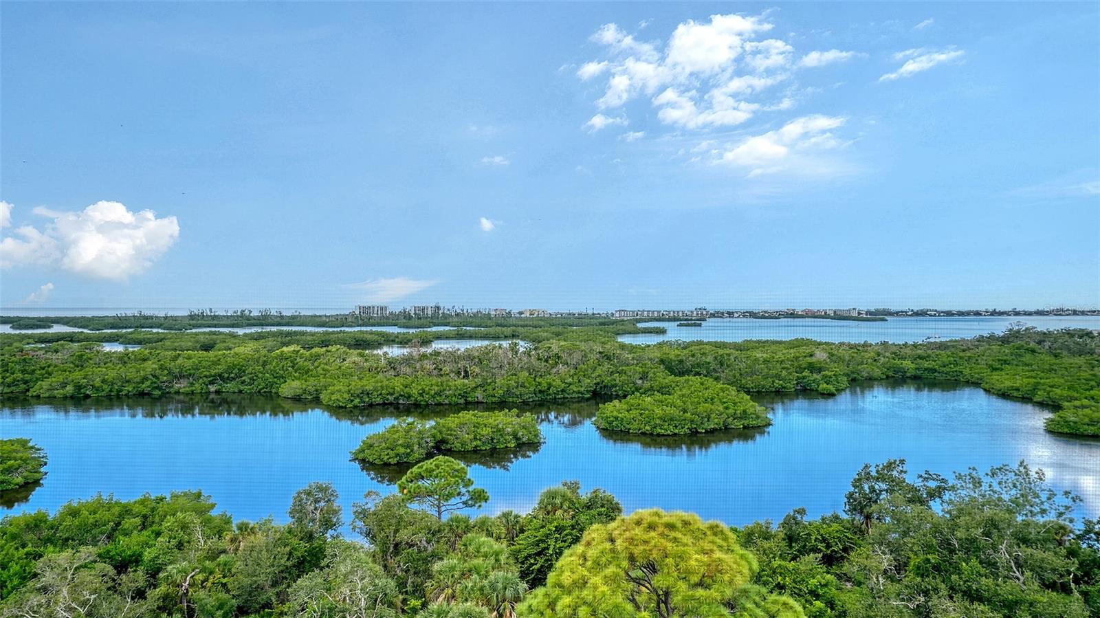 MERIDIAN AT THE OAKS PRESERVE - Residential