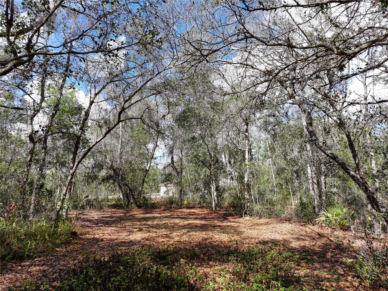 HANCOCK PRESERVE - Residential
