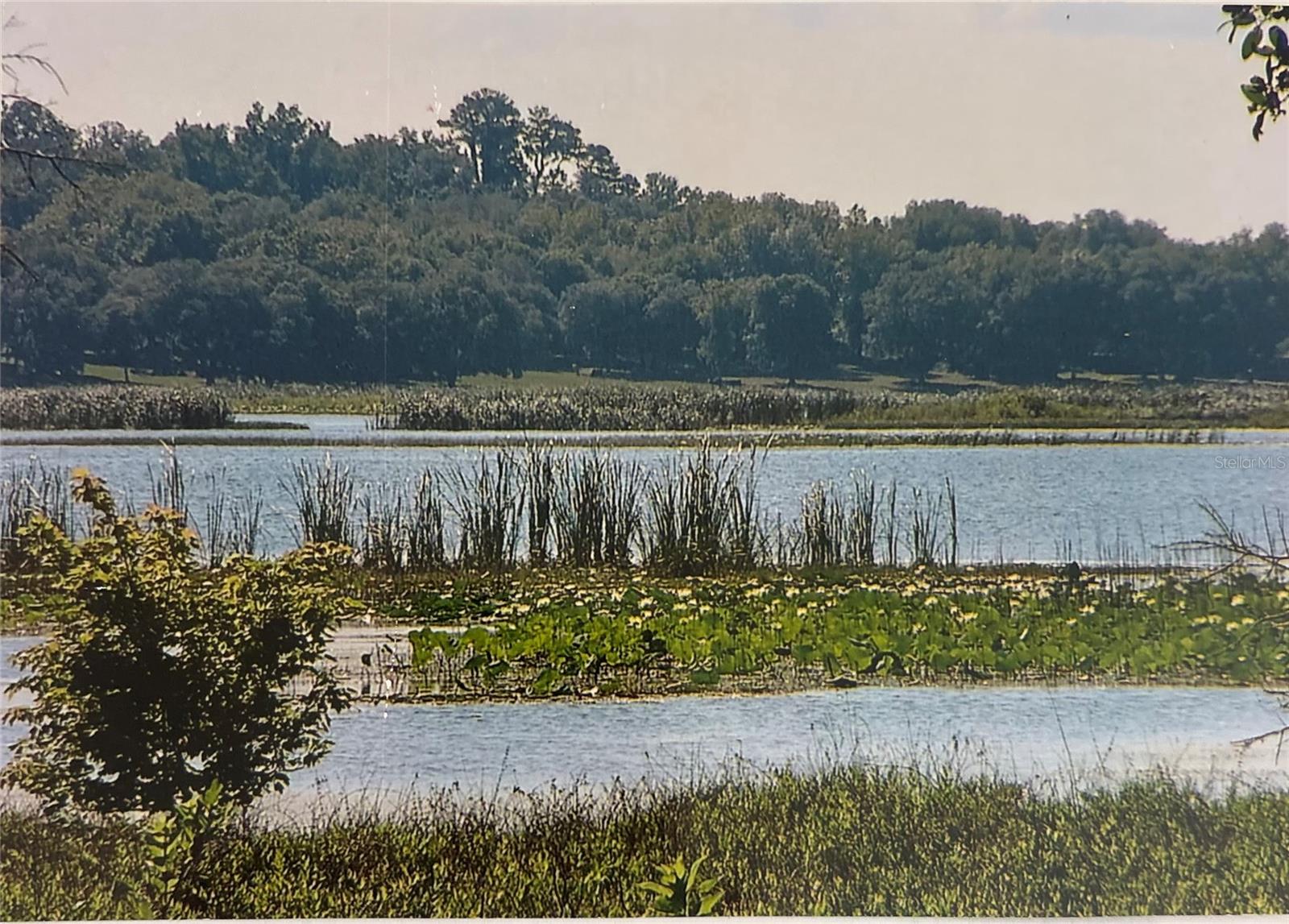 HANCOCK PRESERVE - Residential