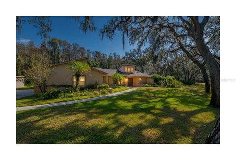 Photo of 10206 Lakeview Drive, New Port Richey, FL 34654 (MLS # TB8482526)