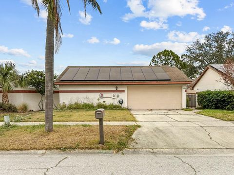 A home in TAMPA