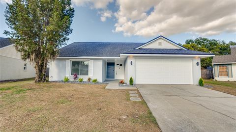 2074 SHADOW PINE DRIVE BRANDON FL 33511