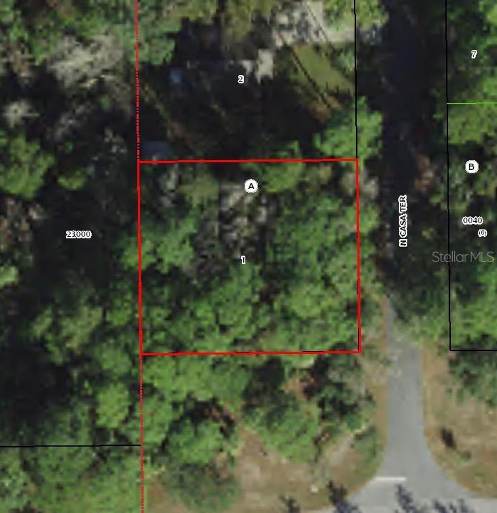 Photo of 4026 N Casa Terrace, Crystal River, FL 34428 (MLS # O5998794)