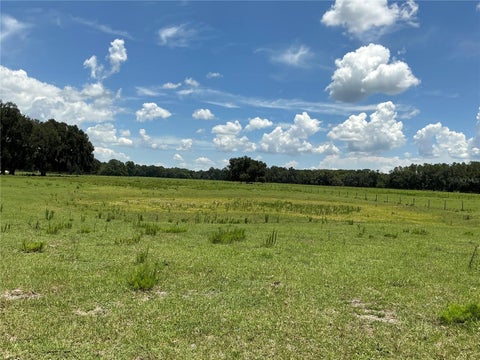 Tiny photo for Cr 755, Webster, FL 33597 (MLS # G5115589)