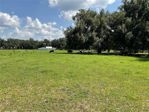 Tiny photo for Cr 755, Webster, FL 33597 (MLS # G5115589)