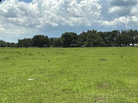 Tiny photo for Cr 755, Webster, FL 33597 (MLS # G5115589)