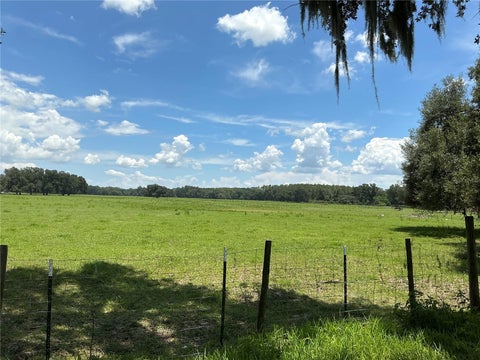 Tiny photo for Cr 755, Webster, FL 33597 (MLS # G5115589)