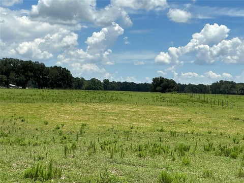 Tiny photo for Cr 755, Webster, FL 33597 (MLS # G5115589)