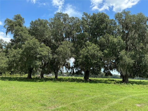 Photo of Cr 755, Webster, FL 33597 (MLS # G5115589)