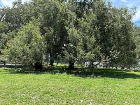 Tiny photo for Cr 755, Webster, FL 33597 (MLS # G5115589)