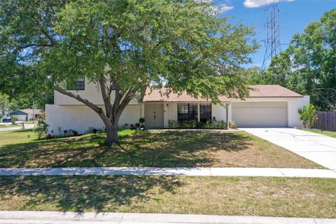 A home in TAMPA