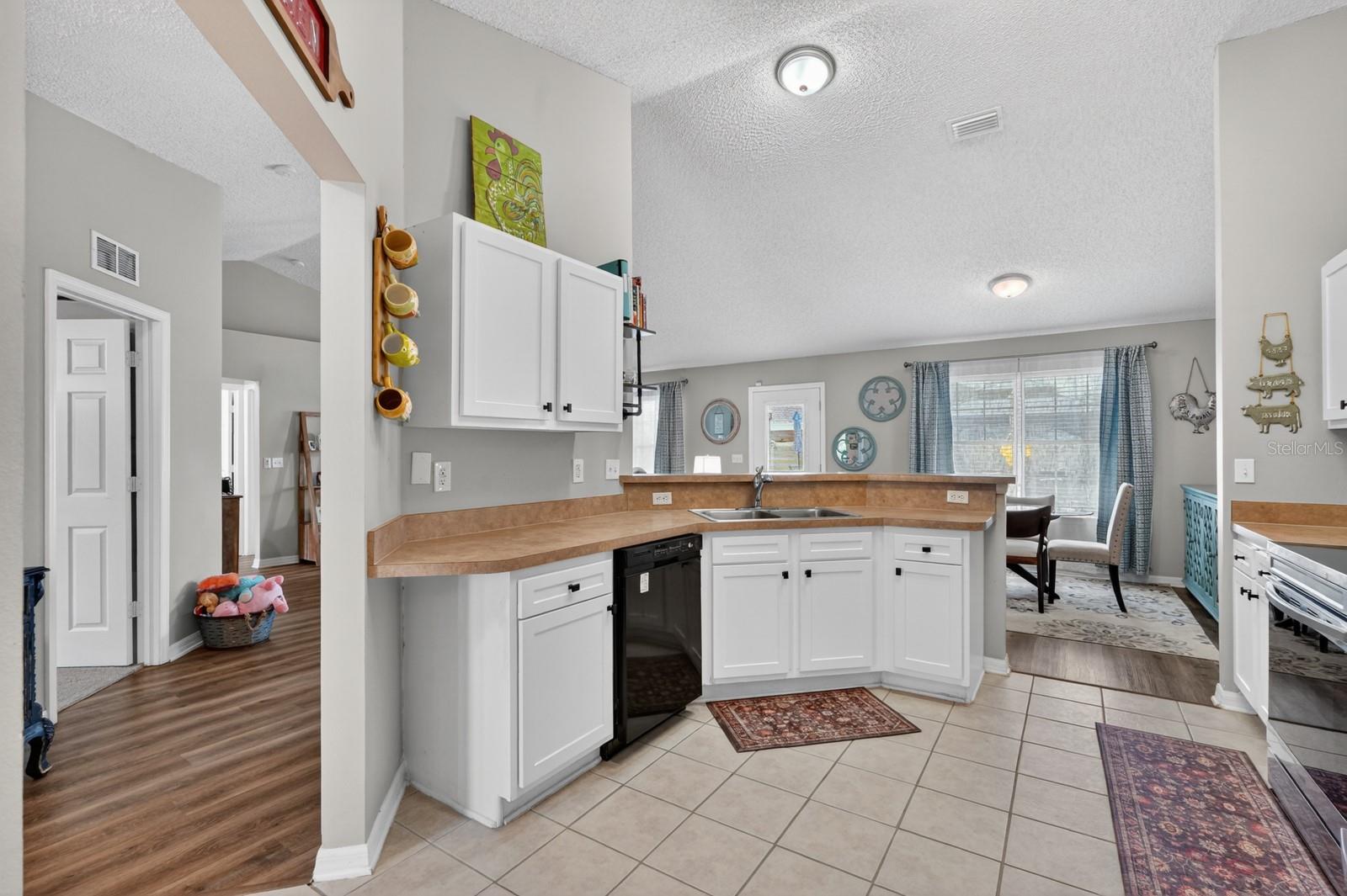 PALM COAST PARK LAKE VIEW SEC 37 - Residential