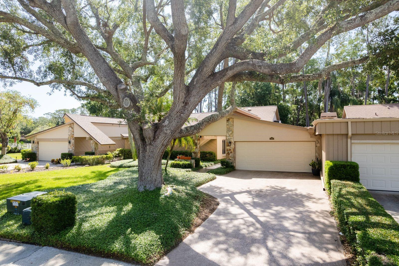 TARPON WOODS 2ND ADD REP - Residential