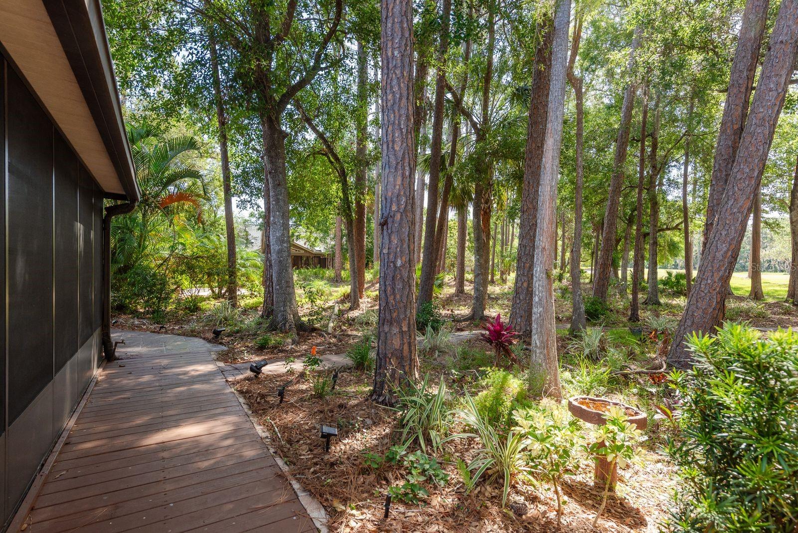 TARPON WOODS 2ND ADD REP - Residential