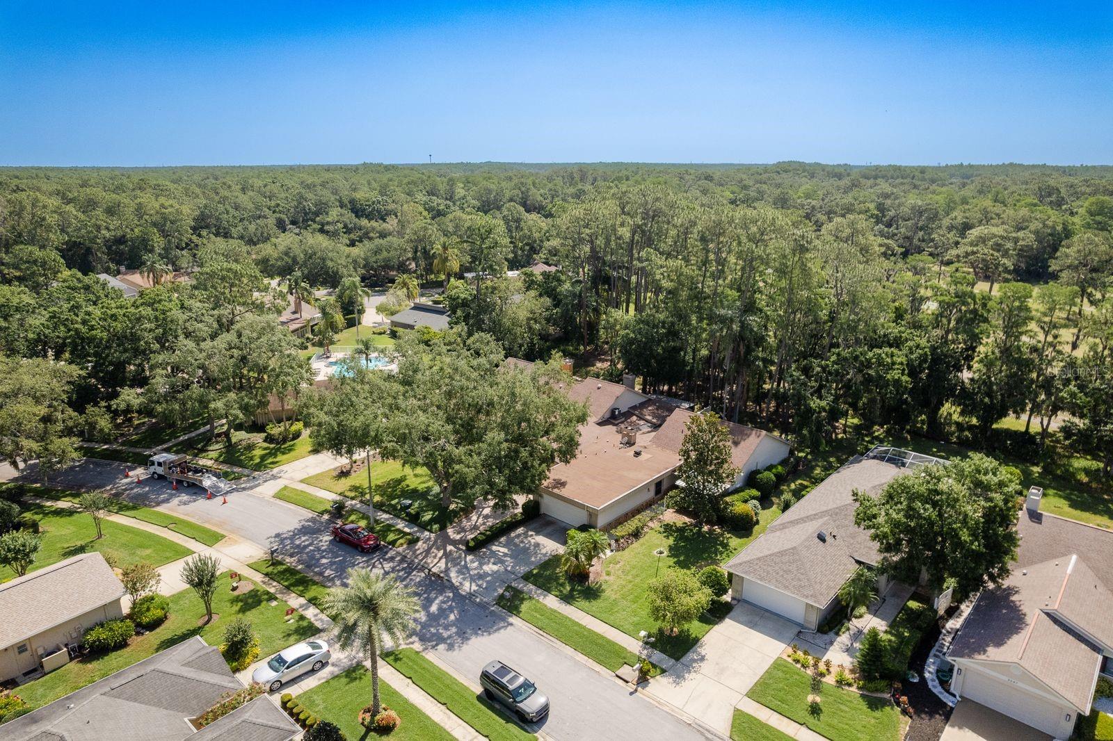 TARPON WOODS 2ND ADD REP - Residential